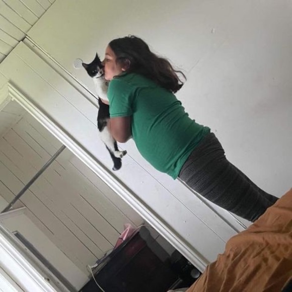 koraliepaul